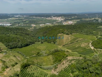 Terreno para Venda em Alcobaça e Vestiaria