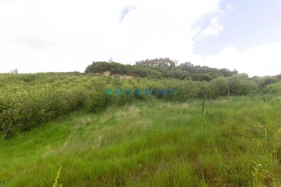 Terreno para Venda em Alcobaça e Vestiaria