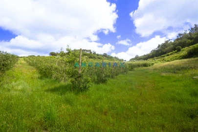 Terreno para Venda em Alcobaça e Vestiaria