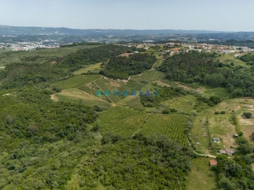Terreno para Venda em Alcobaça e Vestiaria