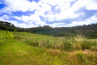 Terreno para Venda em Alcobaça e Vestiaria