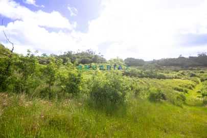 Terreno para Venda em Alcobaça e Vestiaria