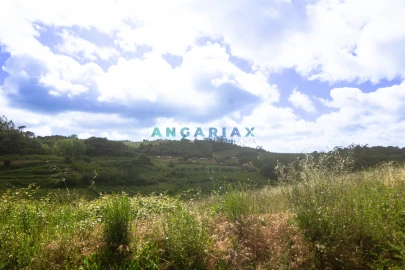 Terreno para Venda em Alcobaça e Vestiaria