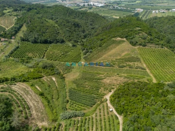 Terreno para Venda em Alcobaça e Vestiaria