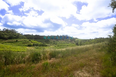 Terreno para Venda em Alcobaça e Vestiaria
