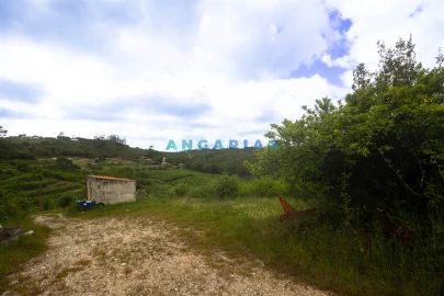Terreno para Venda em Alcobaça e Vestiaria