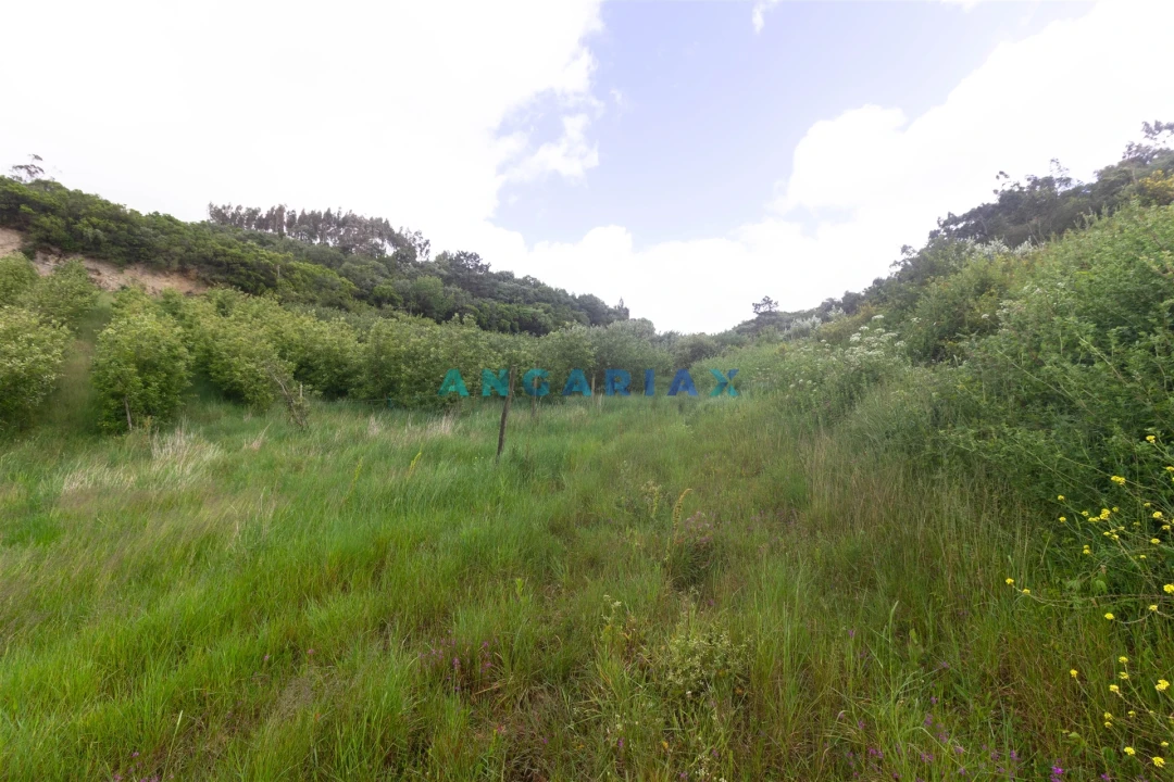 Terreno para Venda em Alcobaça e Vestiaria Foto 15