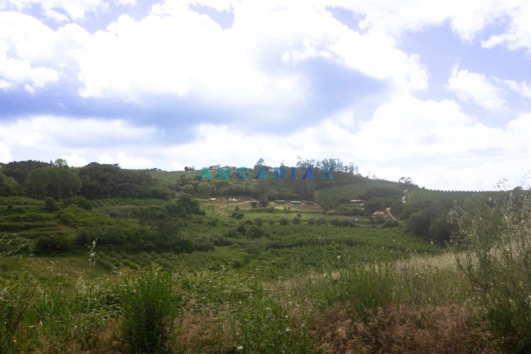 Terreno para Venda em Alcobaça e Vestiaria Foto 23