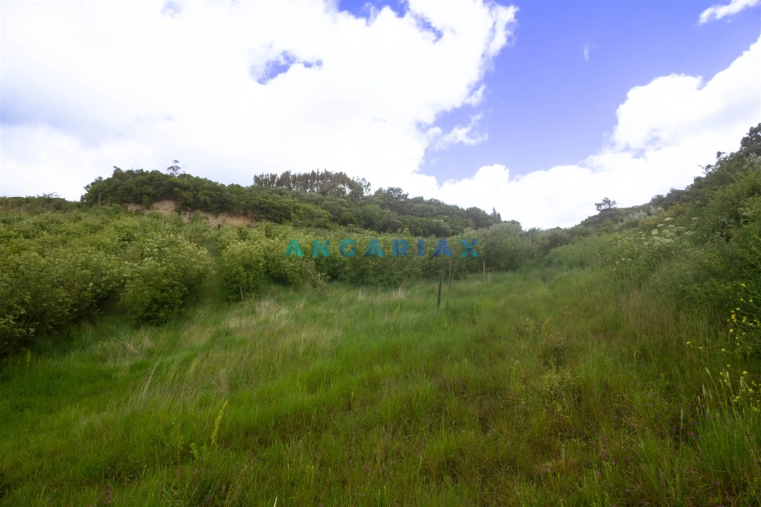 Terreno para Venda em Alcobaça e Vestiaria Foto 35