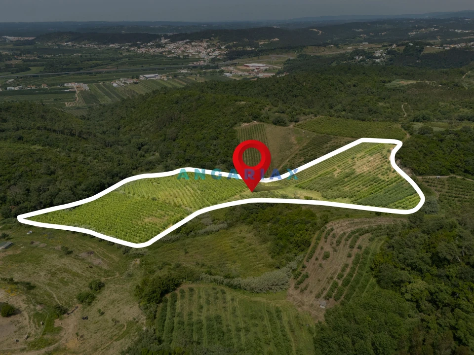 Terreno para Venda em Alcobaça e Vestiaria Foto 7