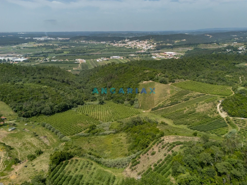 Terreno para Venda em Alcobaça e Vestiaria Foto 5