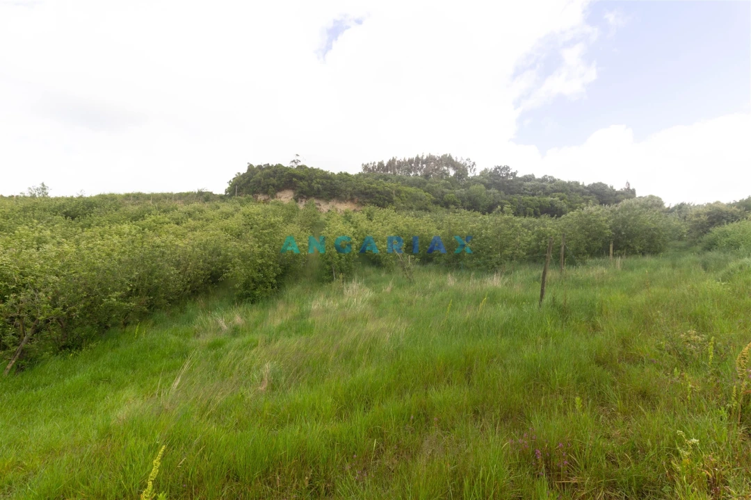 Terreno para Venda em Alcobaça e Vestiaria Foto 34