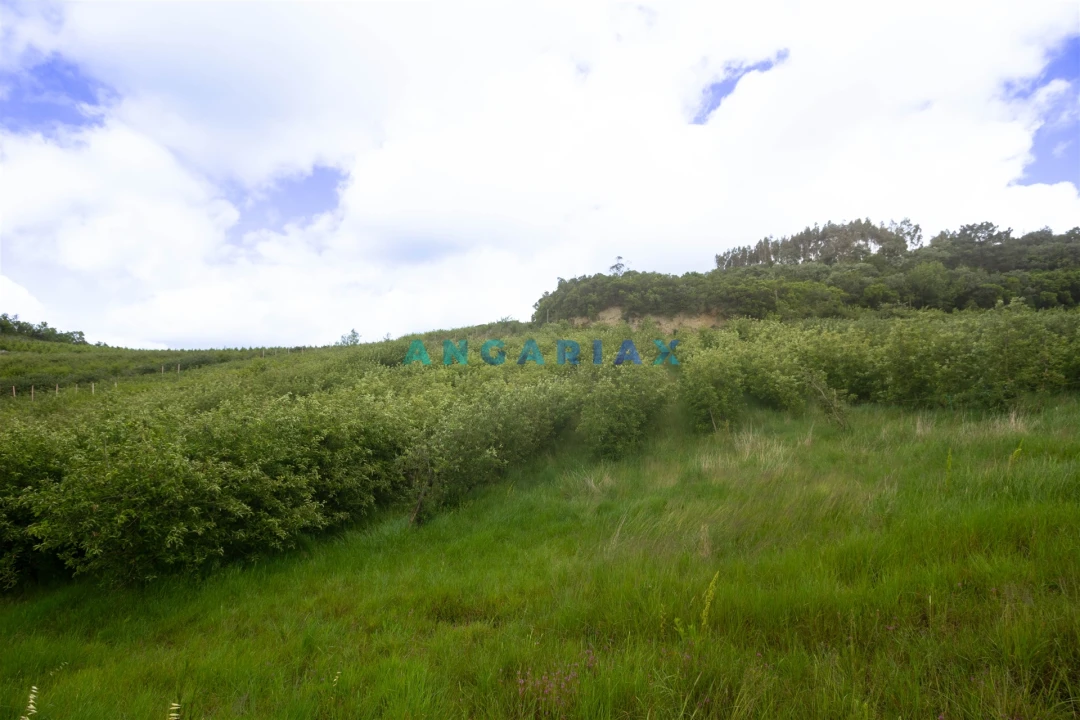 Terreno para Venda em Alcobaça e Vestiaria Foto 14