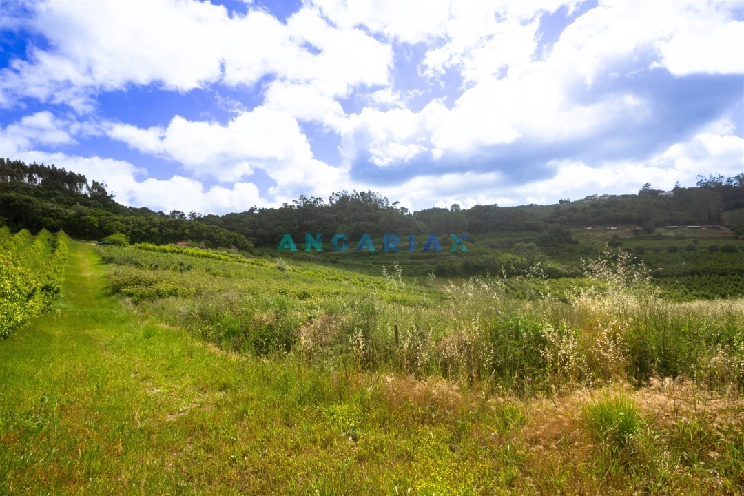 Terreno para Venda em Alcobaça e Vestiaria Foto 24