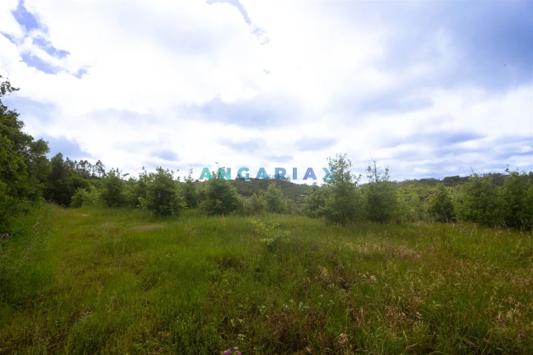 Terreno para Venda em Alcobaça e Vestiaria Foto 27