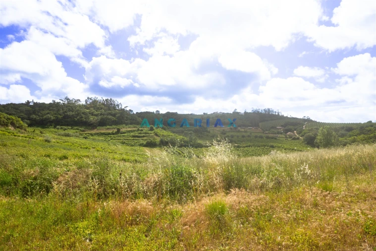 Terreno para Venda em Alcobaça e Vestiaria Foto 25