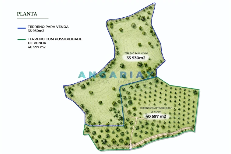 Terreno para Venda em Alcobaça e Vestiaria Planta 1