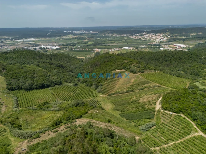 Terreno para Venda em Alcobaça e Vestiaria Foto 4