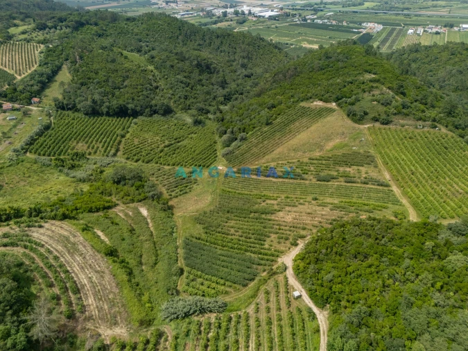 Terreno para Venda em Alcobaça e Vestiaria Foto 2