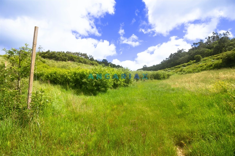 Terreno para Venda em Alcobaça e Vestiaria Foto 33