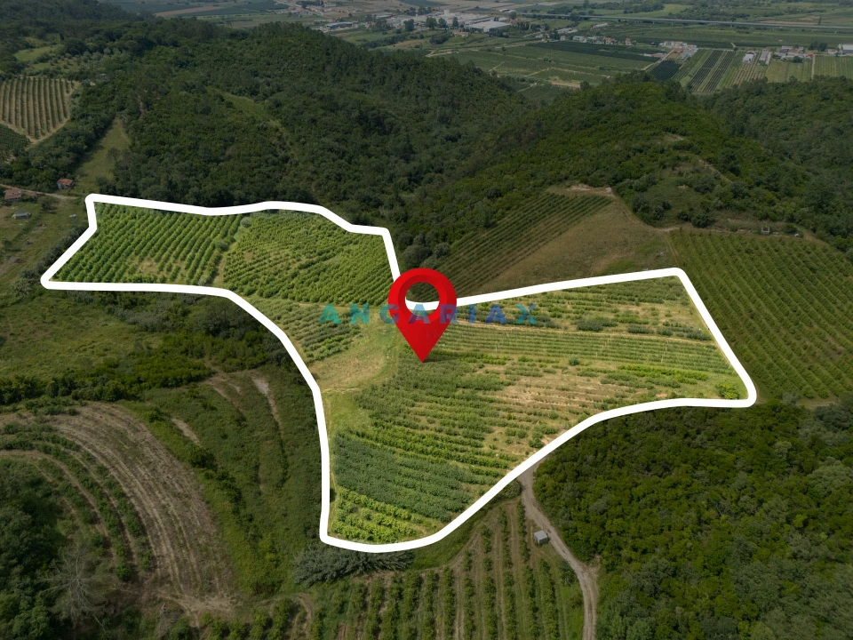 Terreno para Venda em Alcobaça e Vestiaria Foto 3