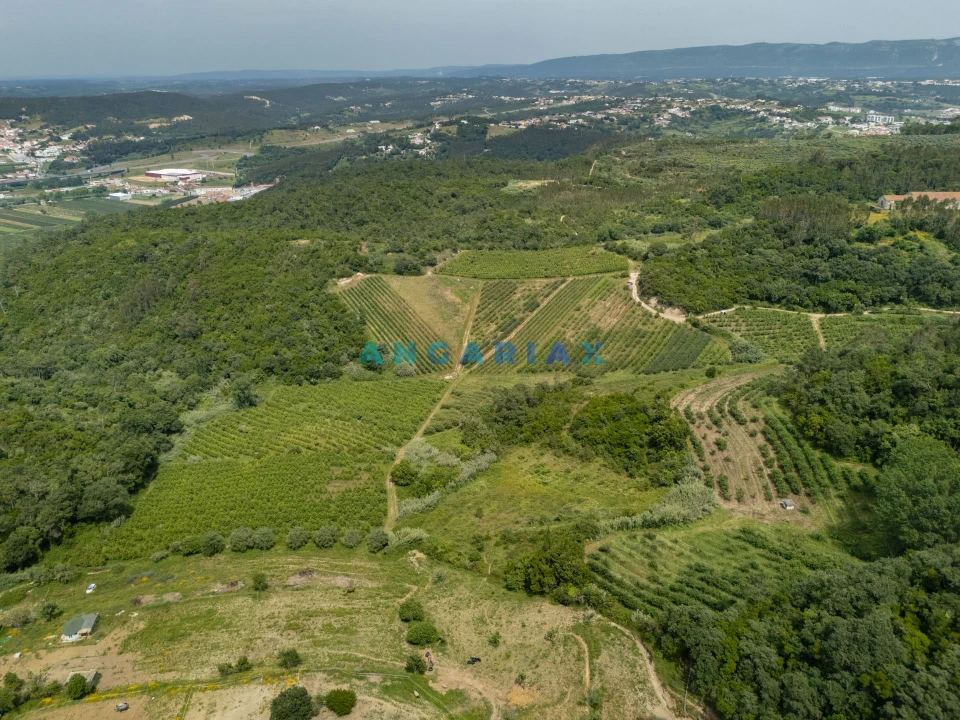 Terreno para Venda em Alcobaça e Vestiaria Foto 10