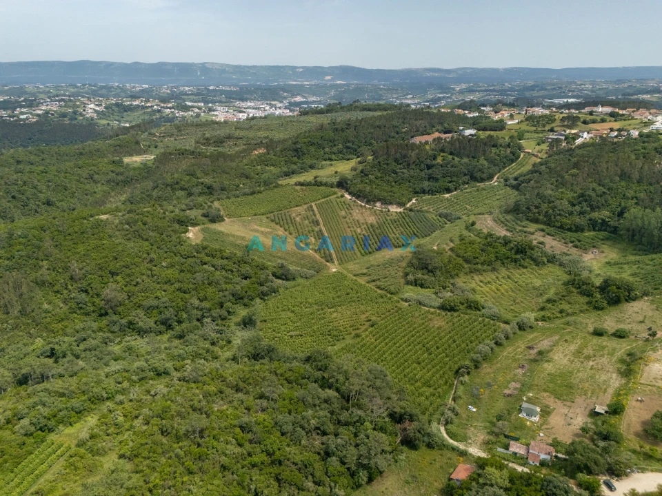 Terreno para Venda em Alcobaça e Vestiaria Foto 12