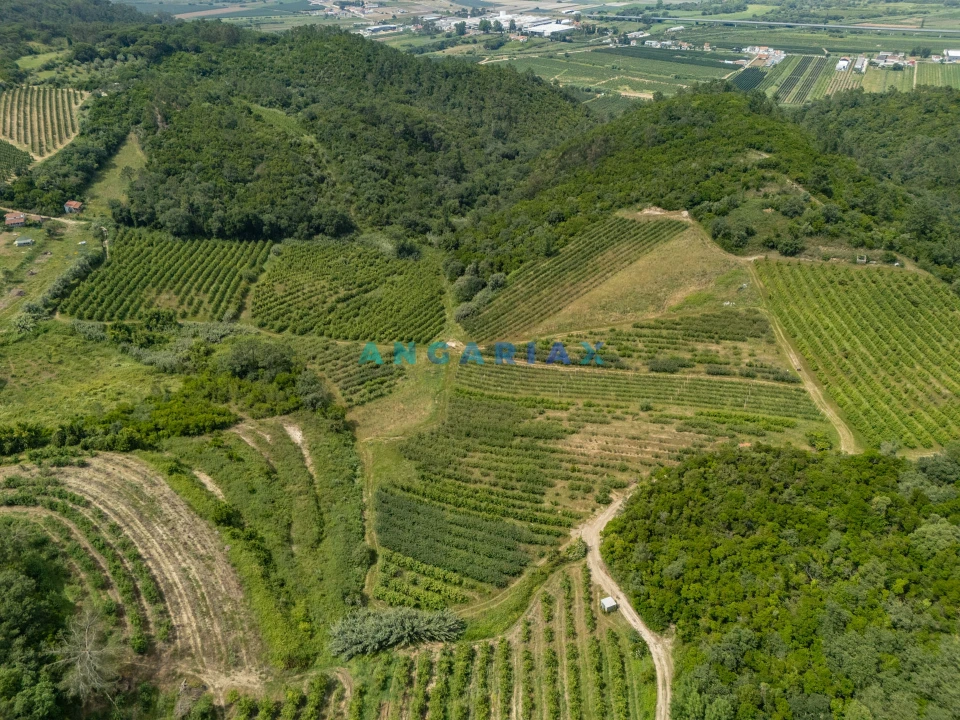 Terreno para Venda em Alcobaça e Vestiaria Foto 2