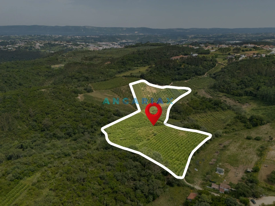 Terreno para Venda em Alcobaça e Vestiaria Foto 9