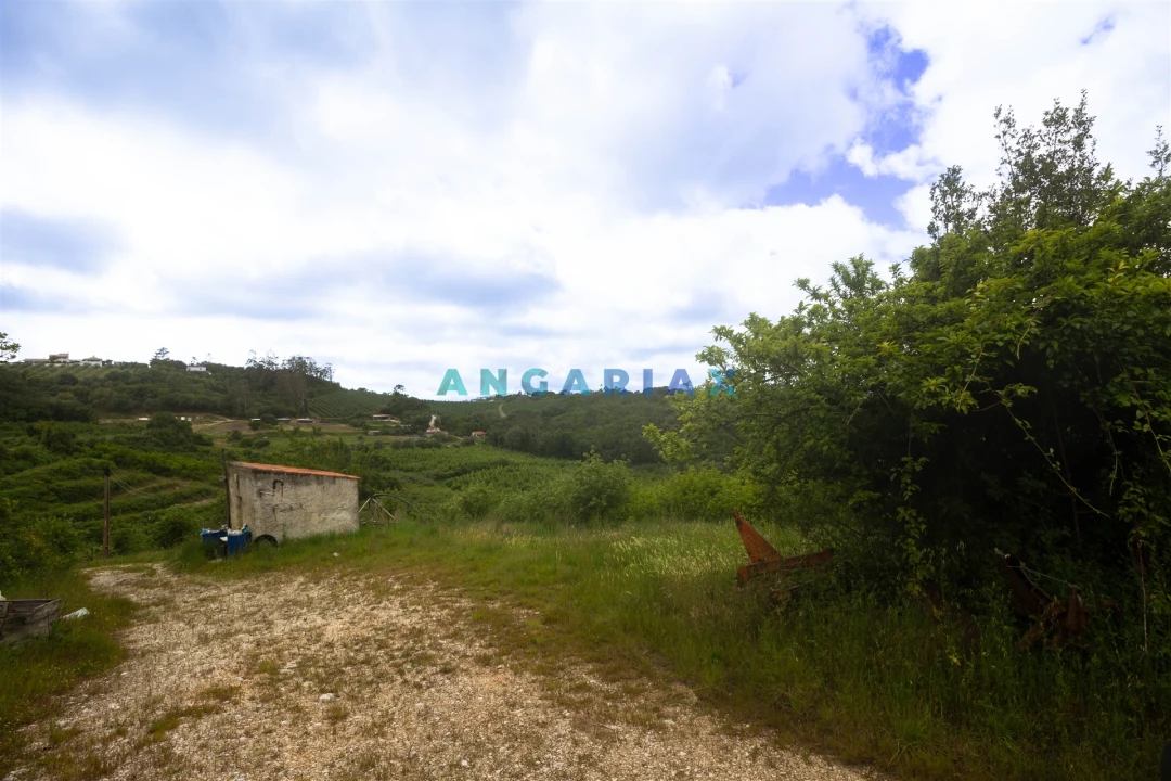 Terreno para Venda em Alcobaça e Vestiaria Foto 31