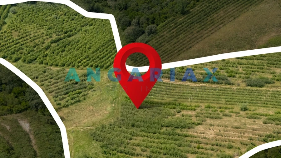 Terreno para Venda em Alcobaça e Vestiaria