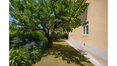 Moradia T4 para Venda em Aldoar, Foz do Douro e Nevogilde