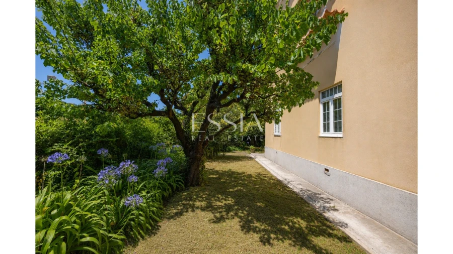Moradia T4 para Venda em Aldoar, Foz do Douro e Nevogilde Foto 6