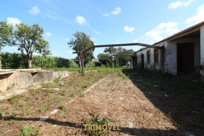 Moradia T3 para Venda em Valega