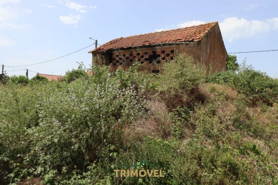 Moradia T3 para Venda em Valega