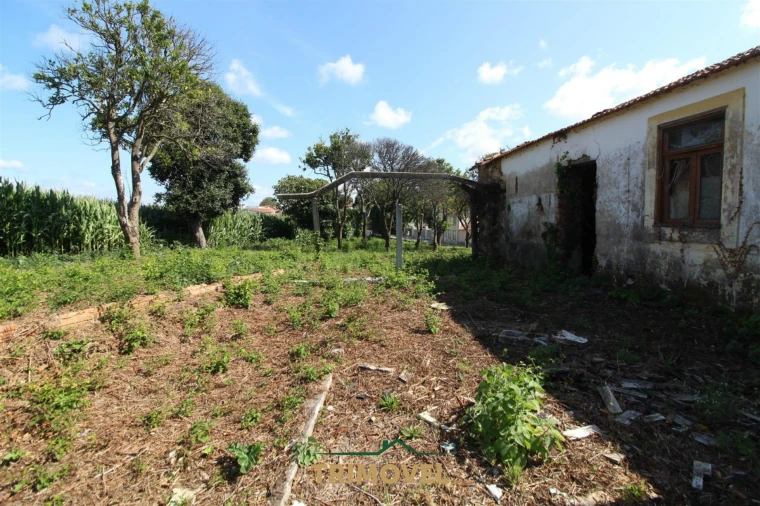 Moradia T3 para Venda em Valega Foto 14