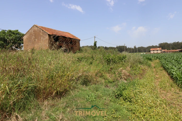 Moradia T3 para Venda em Valega Foto 12