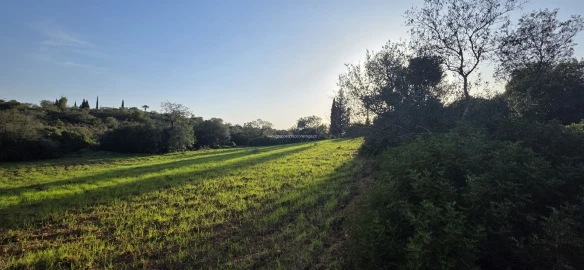 Terreno Misto para Venda em Conceição e Estoi