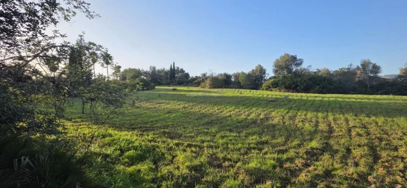 Terreno Misto para Venda em Conceição e Estoi