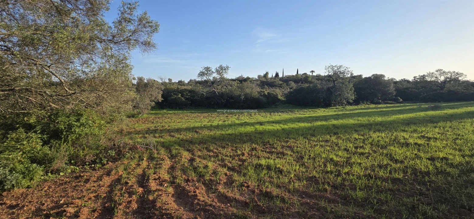 Terreno Misto para Venda em Conceição e Estoi Foto 5