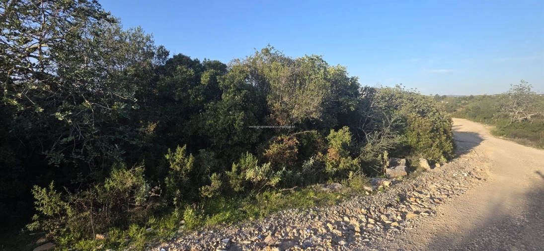 Terreno Misto para Venda em Conceição e Estoi Foto 8