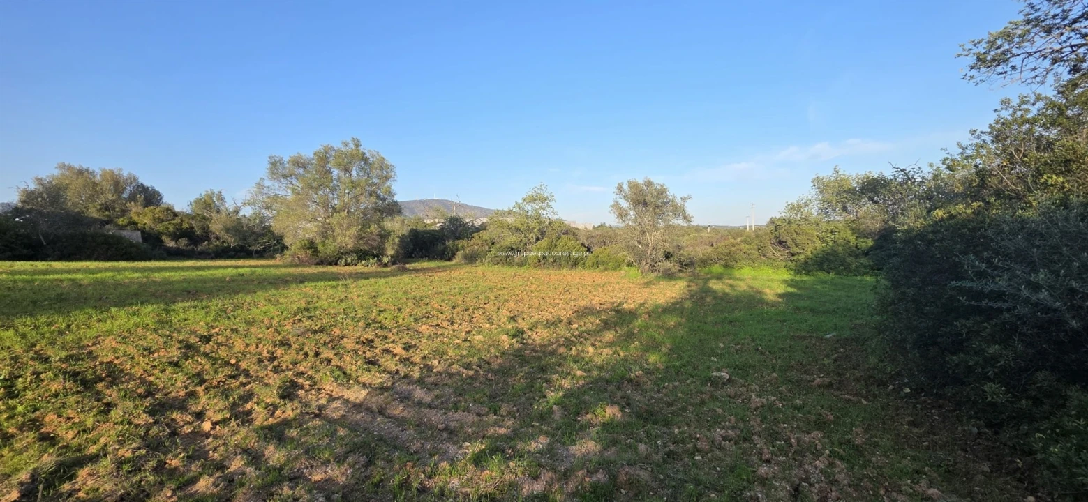 Terreno Misto para Venda em Conceição e Estoi Foto 3
