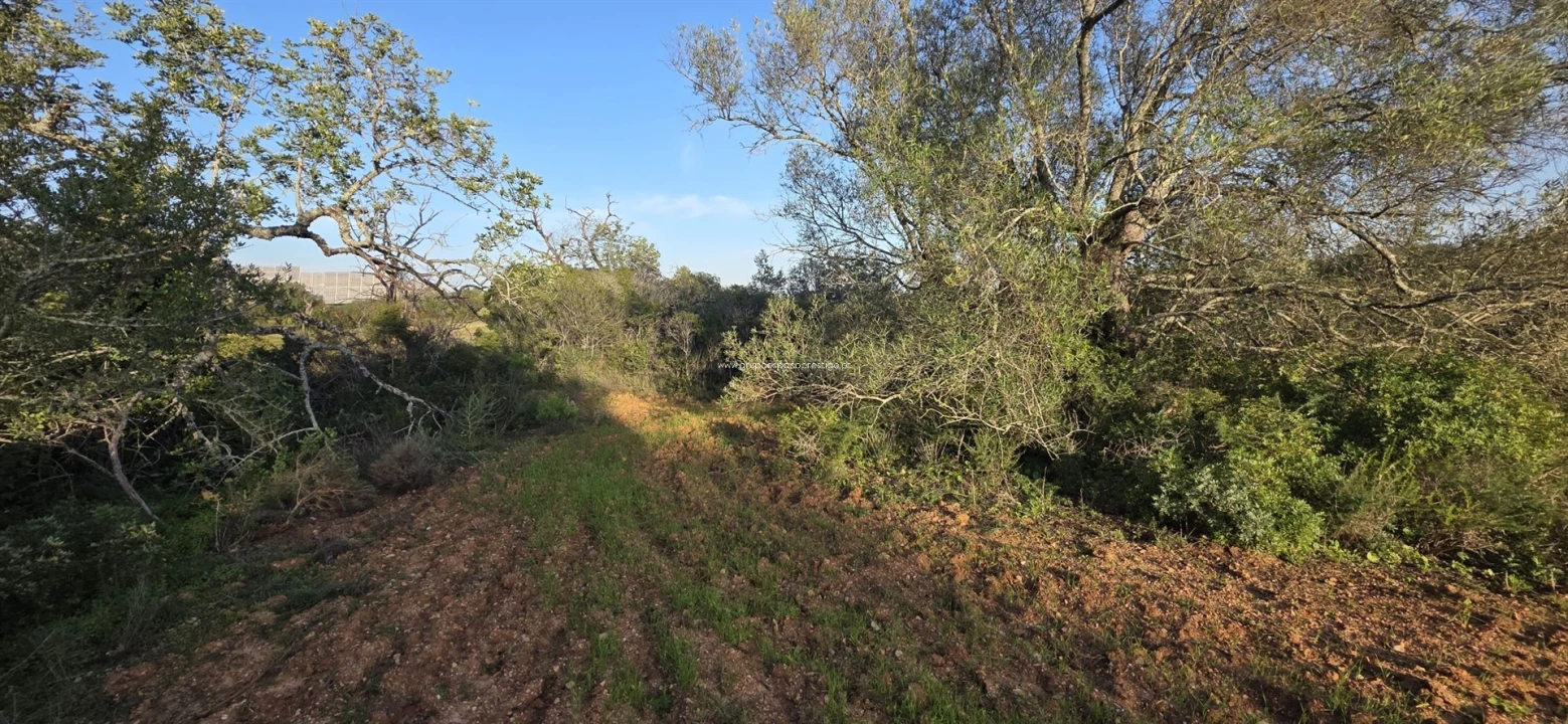 Terreno Misto para Venda em Conceição e Estoi Foto 6