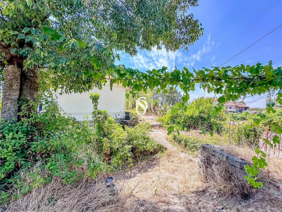 Quinta T3 para Venda em Vila Caiz Foto 12