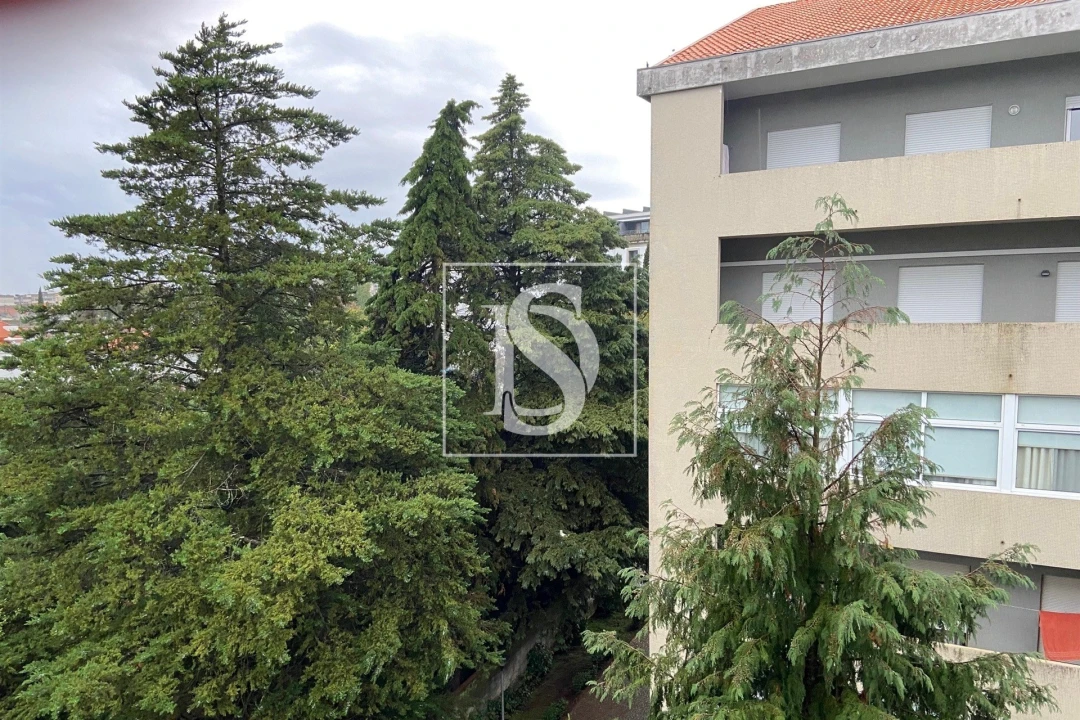Apartamento T2 para Arrendamento em Viseu Foto 16