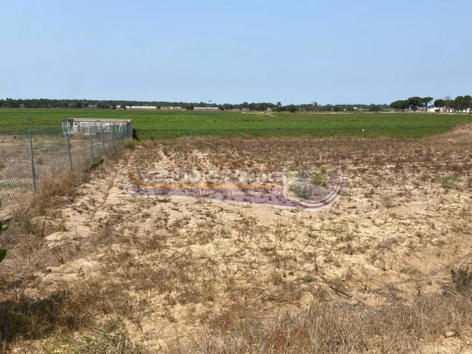 Terreno para Venda em Salvaterra de Magos e Foros de Salvaterra Foto 1