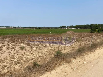Terreno para Venda em Salvaterra de Magos e Foros de Salvaterra