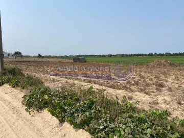 Terreno para Venda em Salvaterra de Magos e Foros de Salvaterra