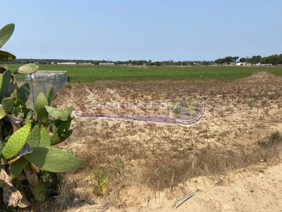 Terreno para Venda em Salvaterra de Magos e Foros de Salvaterra Foto 2