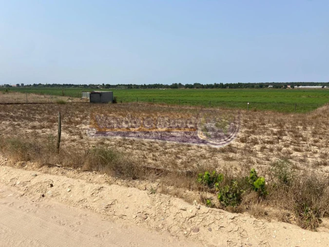 Terreno para Venda em Salvaterra de Magos e Foros de Salvaterra Foto 4